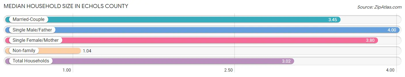 Median Household Size in Echols County