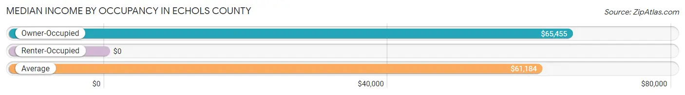 Median Income by Occupancy in Echols County