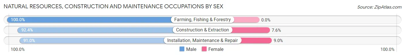 Natural Resources, Construction and Maintenance Occupations by Sex in Echols County