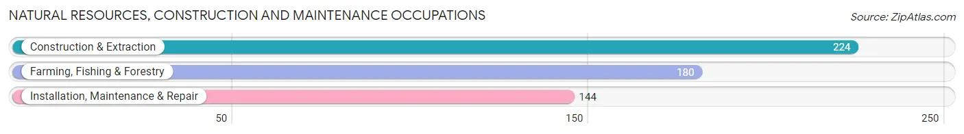 Natural Resources, Construction and Maintenance Occupations in Echols County