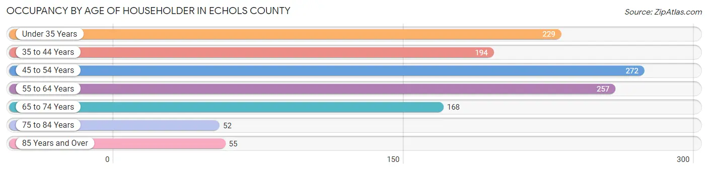 Occupancy by Age of Householder in Echols County