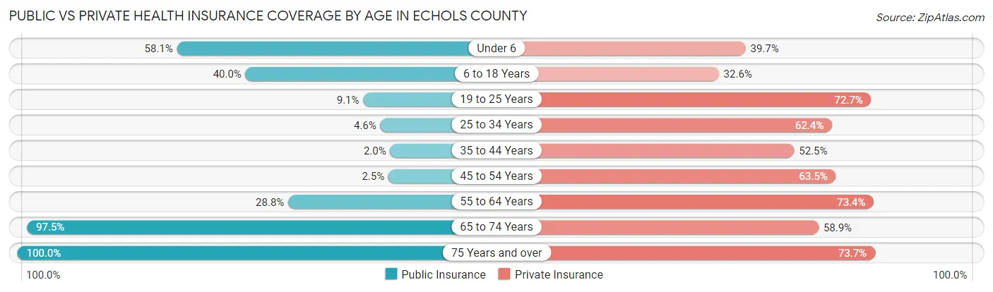 Public vs Private Health Insurance Coverage by Age in Echols County