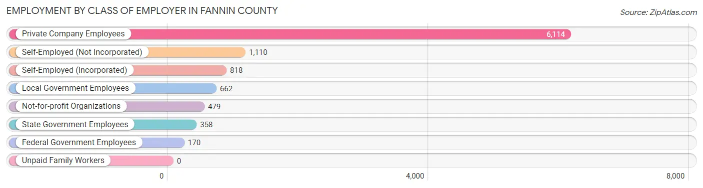 Employment by Class of Employer in Fannin County