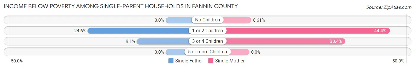 Income Below Poverty Among Single-Parent Households in Fannin County