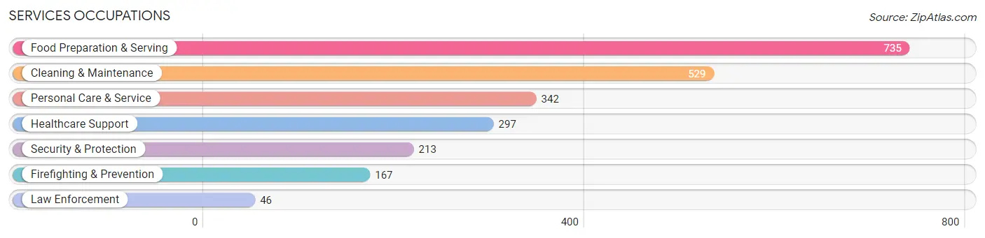 Services Occupations in Fannin County