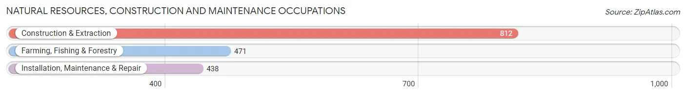 Natural Resources, Construction and Maintenance Occupations in Grady County