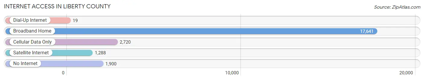 Internet Access in Liberty County