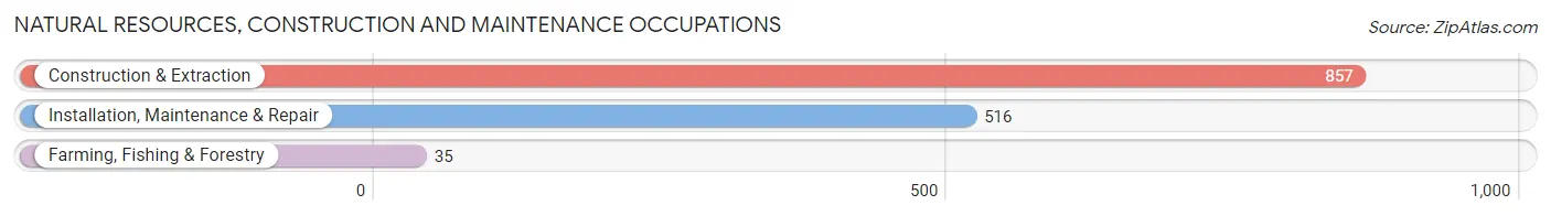 Natural Resources, Construction and Maintenance Occupations in Lumpkin County