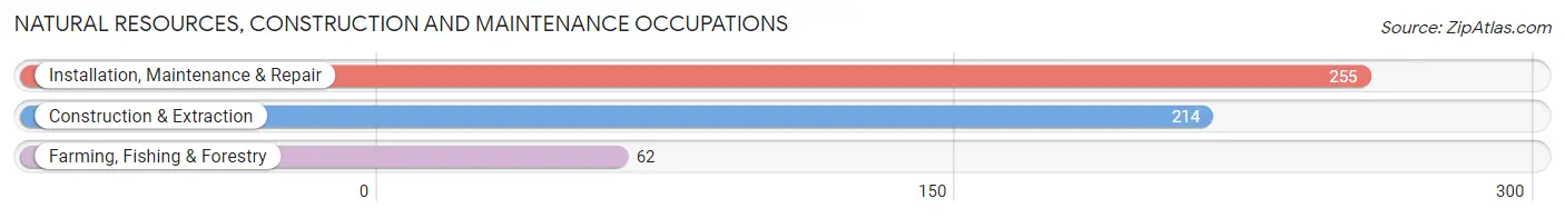 Natural Resources, Construction and Maintenance Occupations in McIntosh County