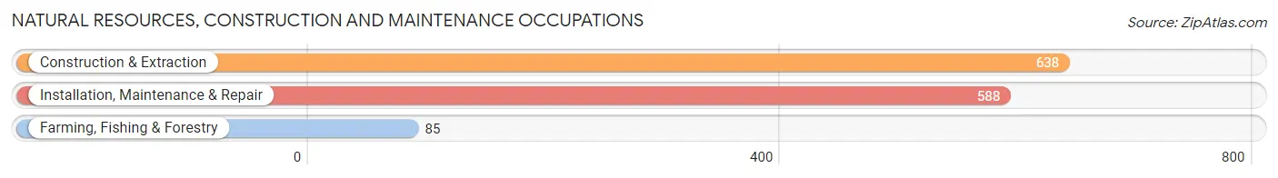 Natural Resources, Construction and Maintenance Occupations in Peach County