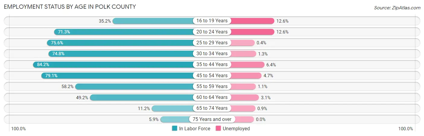 Employment Status by Age in Polk County