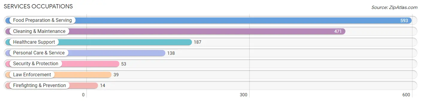 Services Occupations in Rabun County