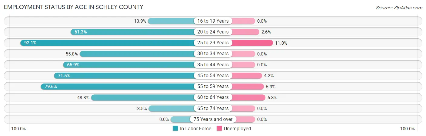 Employment Status by Age in Schley County