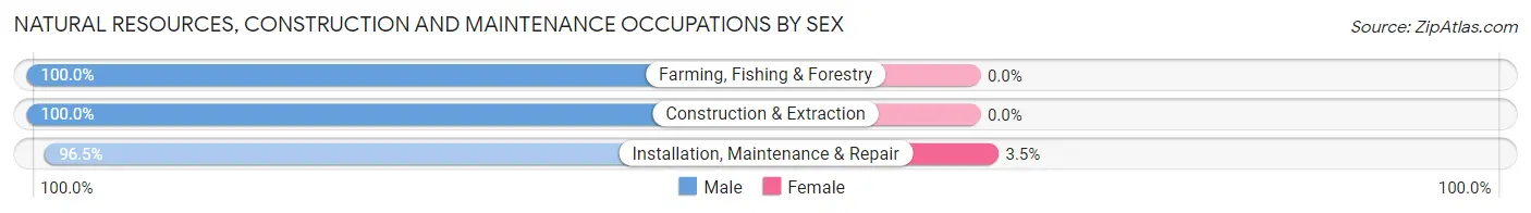 Natural Resources, Construction and Maintenance Occupations by Sex in Stephens County