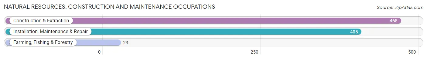 Natural Resources, Construction and Maintenance Occupations in Stephens County