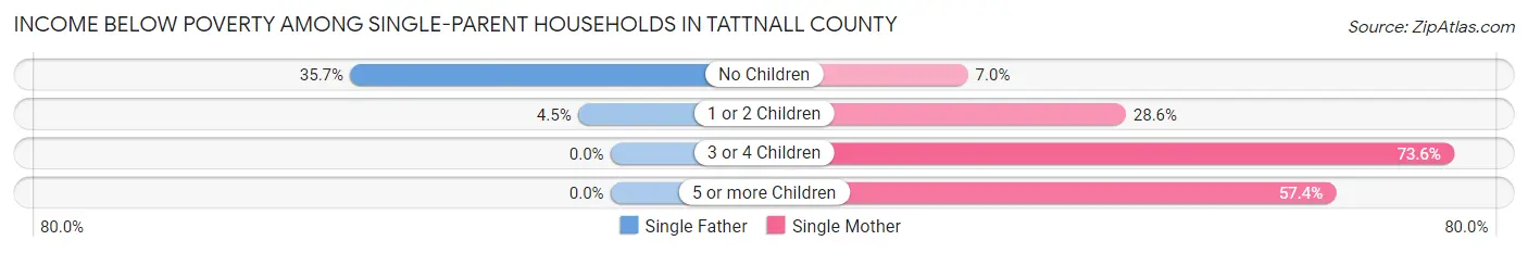 Income Below Poverty Among Single-Parent Households in Tattnall County