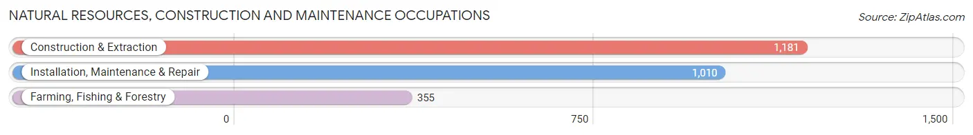 Natural Resources, Construction and Maintenance Occupations in Thomas County