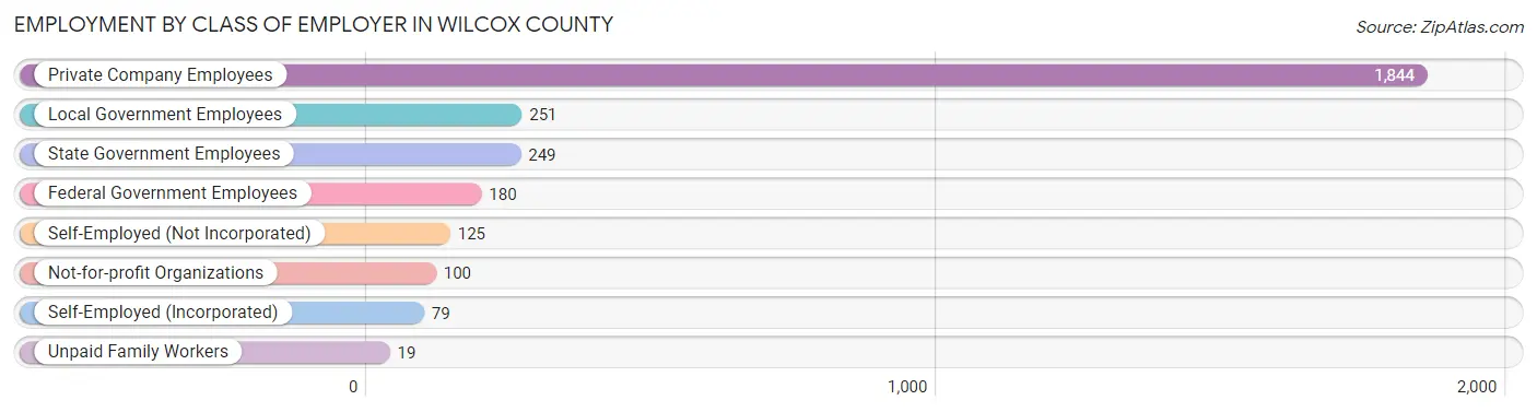 Employment by Class of Employer in Wilcox County