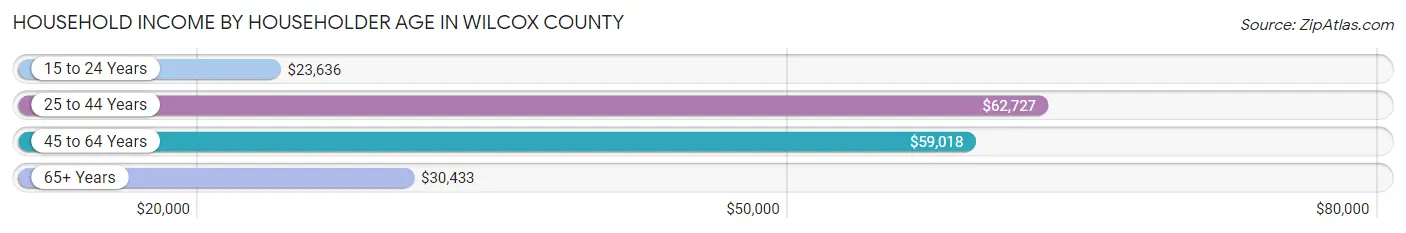 Household Income by Householder Age in Wilcox County