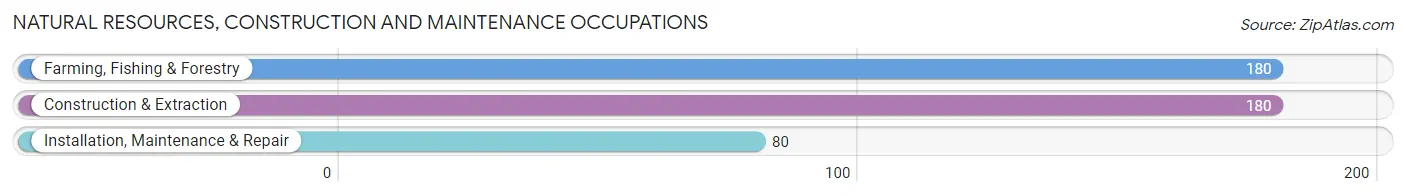 Natural Resources, Construction and Maintenance Occupations in Audubon County