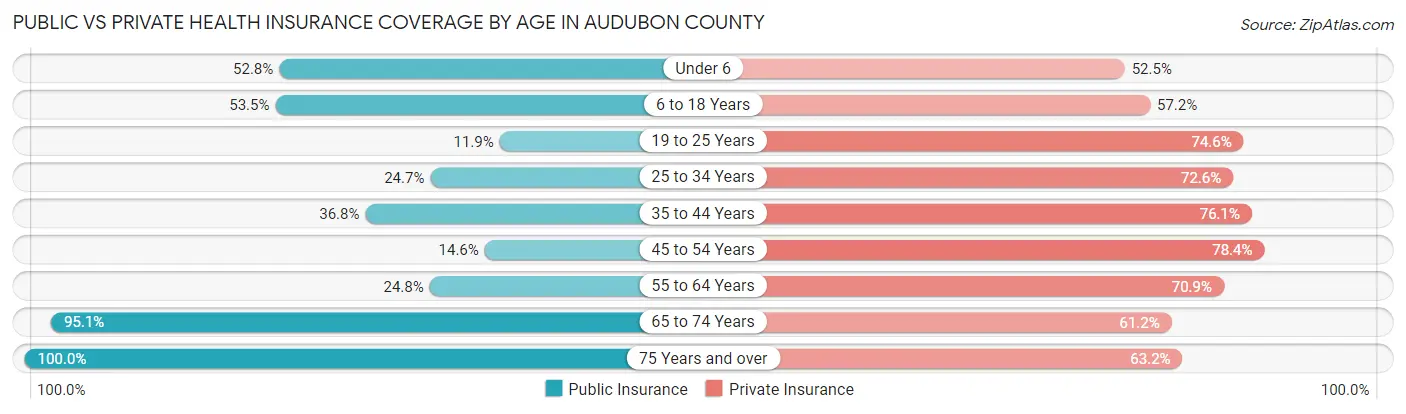 Public vs Private Health Insurance Coverage by Age in Audubon County
