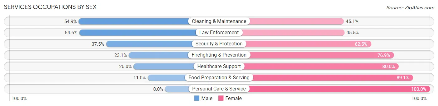 Services Occupations by Sex in Audubon County