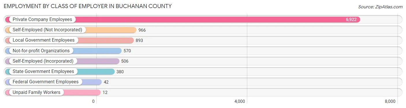 Employment by Class of Employer in Buchanan County