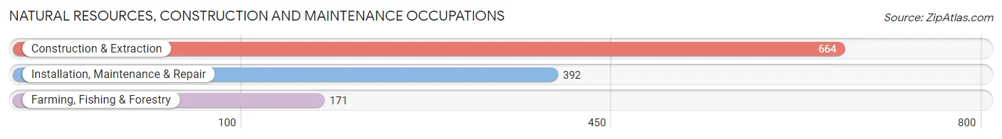 Natural Resources, Construction and Maintenance Occupations in Buchanan County