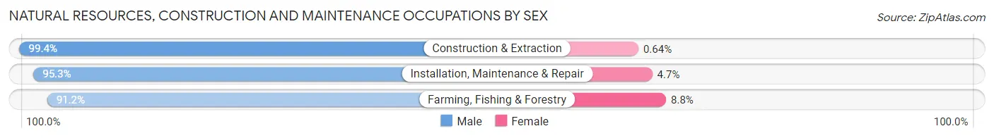 Natural Resources, Construction and Maintenance Occupations by Sex in Carroll County