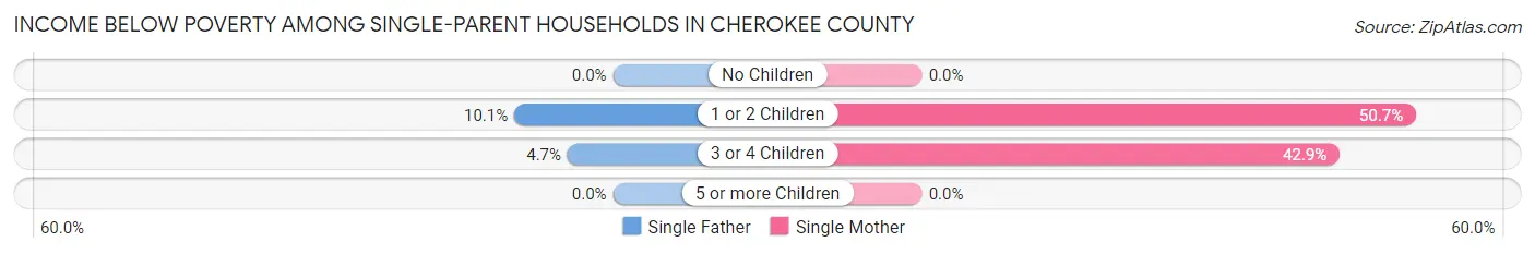 Income Below Poverty Among Single-Parent Households in Cherokee County
