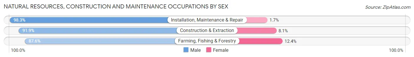 Natural Resources, Construction and Maintenance Occupations by Sex in Chickasaw County