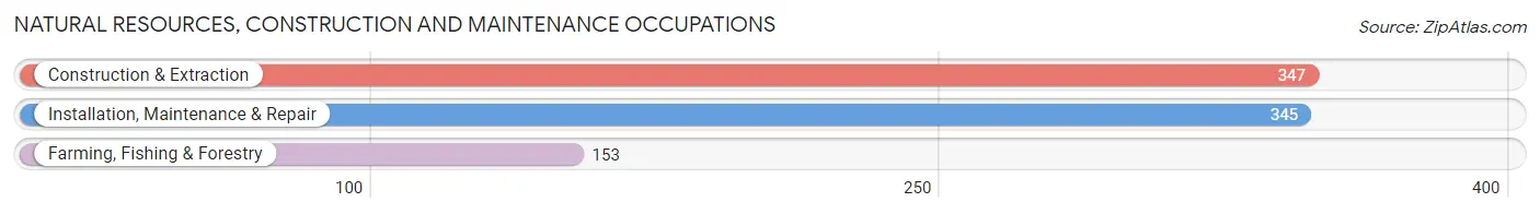 Natural Resources, Construction and Maintenance Occupations in Chickasaw County