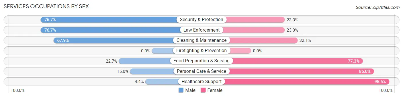 Services Occupations by Sex in Chickasaw County