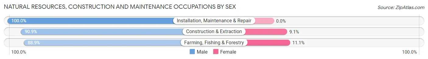 Natural Resources, Construction and Maintenance Occupations by Sex in Clarke County