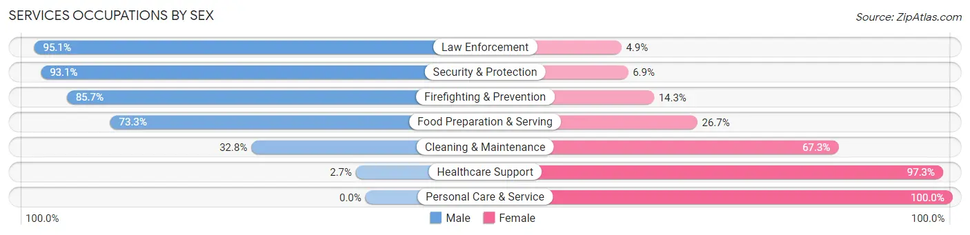 Services Occupations by Sex in Clarke County