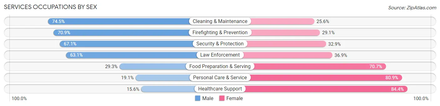 Services Occupations by Sex in Dallas County