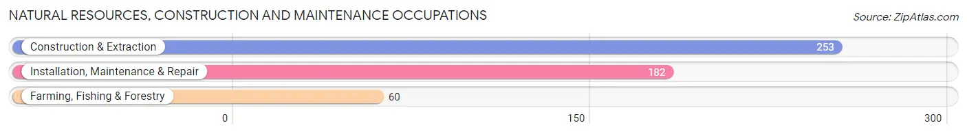 Natural Resources, Construction and Maintenance Occupations in Decatur County