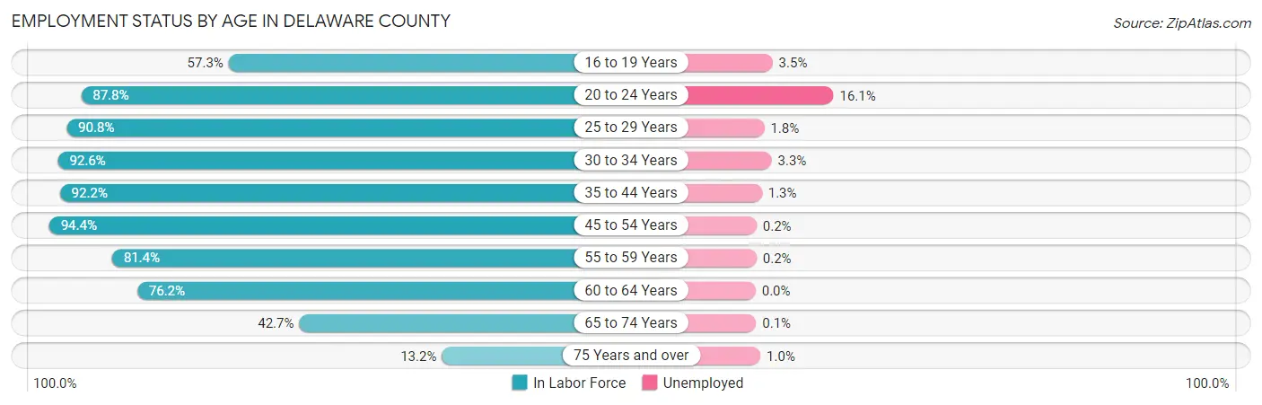 Employment Status by Age in Delaware County