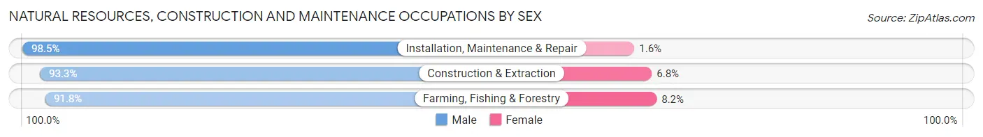 Natural Resources, Construction and Maintenance Occupations by Sex in Delaware County
