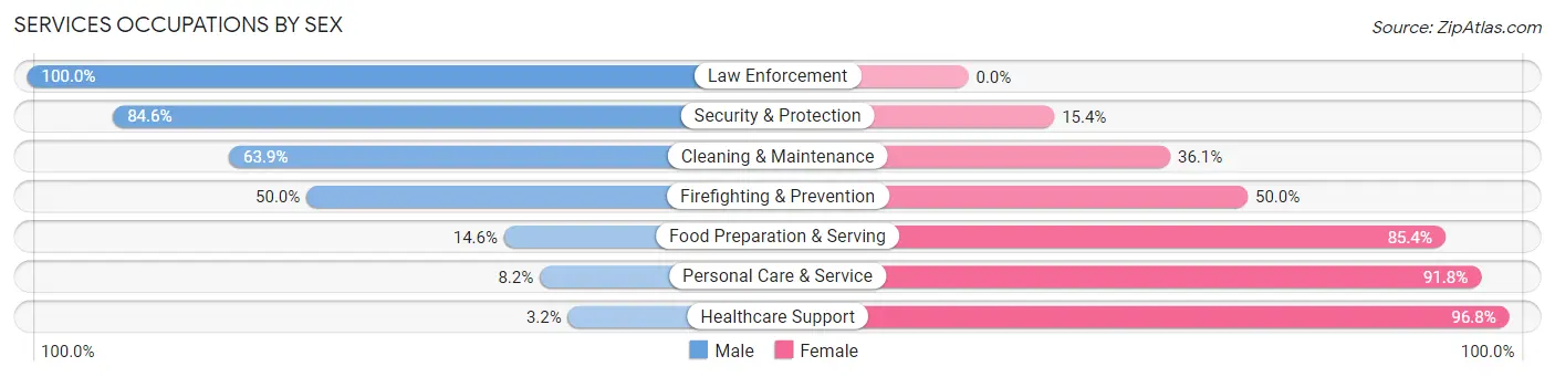 Services Occupations by Sex in Delaware County