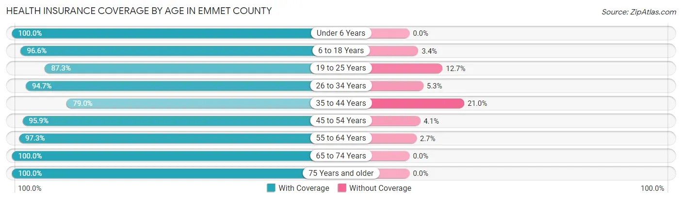 Health Insurance Coverage by Age in Emmet County