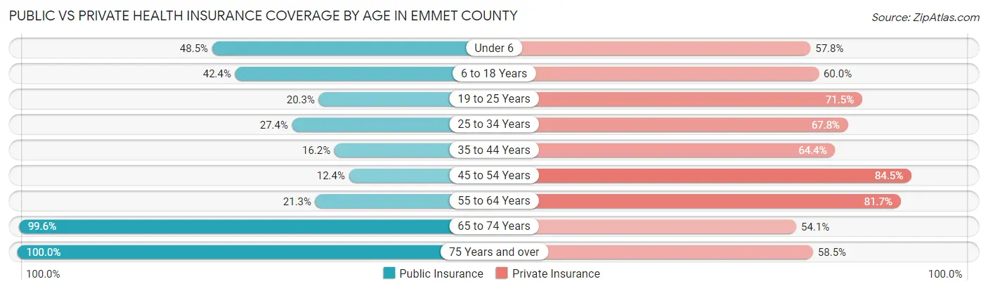 Public vs Private Health Insurance Coverage by Age in Emmet County