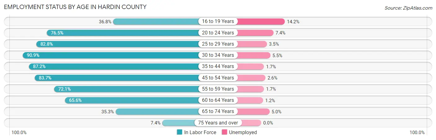 Employment Status by Age in Hardin County