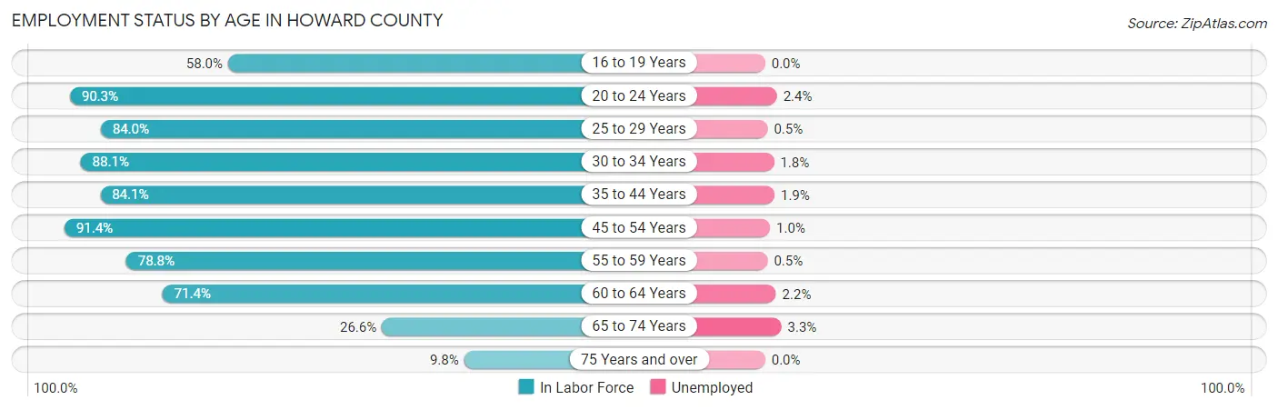 Employment Status by Age in Howard County