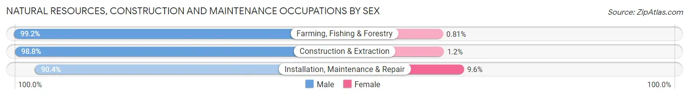 Natural Resources, Construction and Maintenance Occupations by Sex in Iowa County