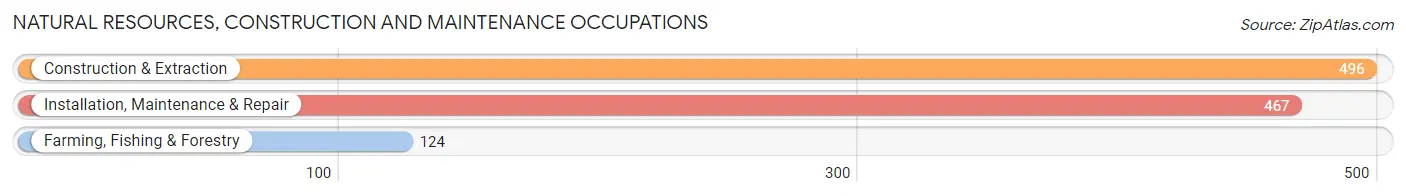 Natural Resources, Construction and Maintenance Occupations in Iowa County