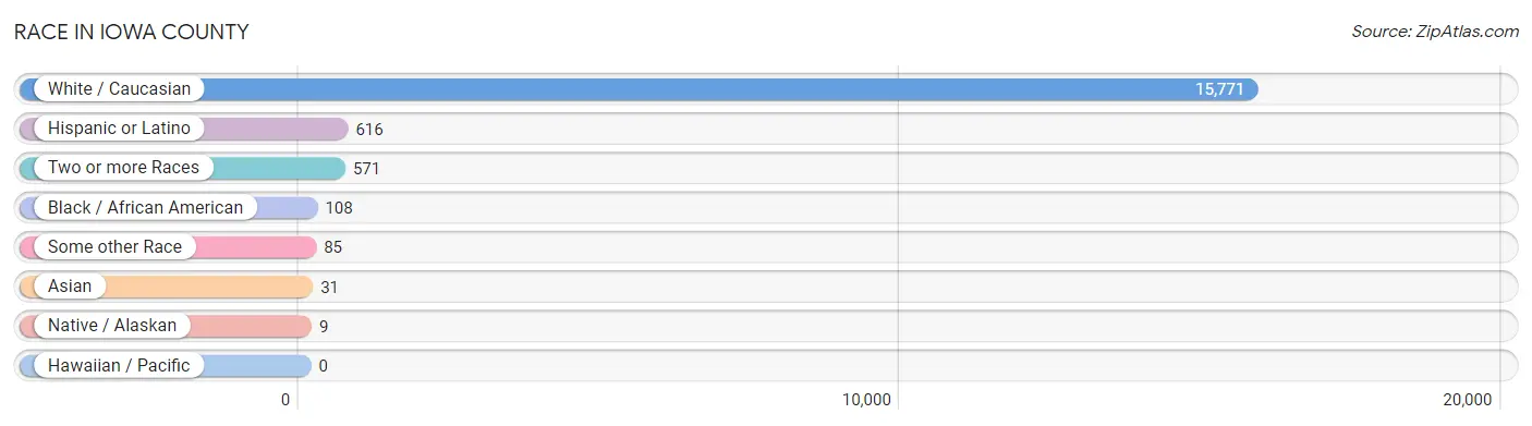 Race in Iowa County