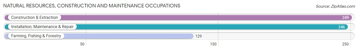 Natural Resources, Construction and Maintenance Occupations in Lyon County