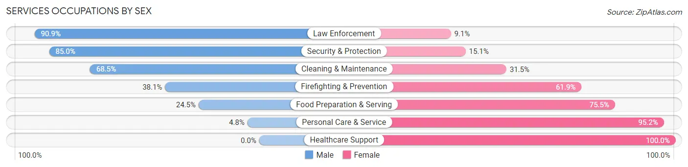 Services Occupations by Sex in Page County