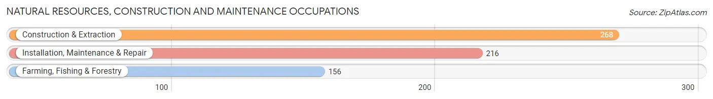 Natural Resources, Construction and Maintenance Occupations in Palo Alto County